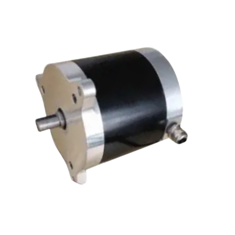 BL100 100mm diameter electrica forklift motoris cum 24VDC 300W