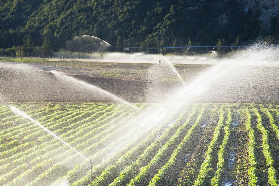 Automation agriculturae