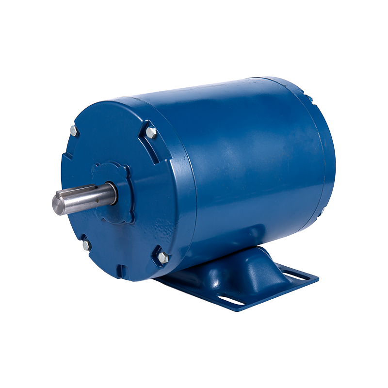 Princeps potentia Single Phase Electric Induction Motor Y286145