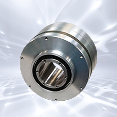 Frameless Torque Motors